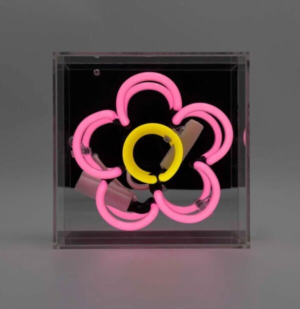 Mini Glazen Neon Box - Daisy - Roze