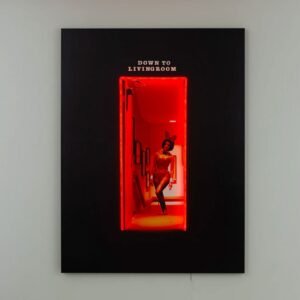 Playboy Wall Art - Rode Deur (LED Neon)